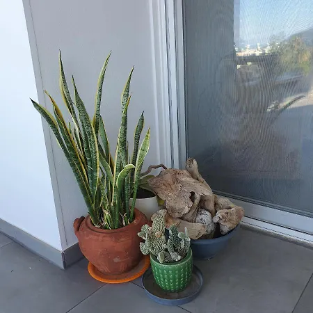 Ithaki, 2 Bedroom Penthouse Lachi